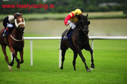 Boom To Bust Naas June 27th 2012